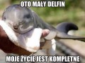 Moje życie jest kompletne