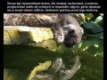 Ostatnie zdjęcie przed śmiercią