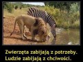 Smutne ale prawdziwe 1
