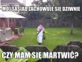 Mój sąsiad zachowuje się dziwnie