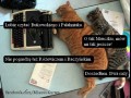 Książkowy orgazm