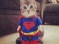 Jestę superbohaterę