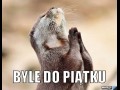 Byle do piątku