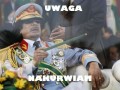 Kadafii