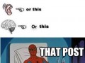 Cancer