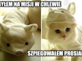 Szpieg