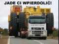 Jade ci