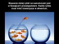 Prawo w szwajcarii