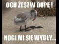 Wygły