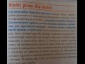 Kufel piwa dla kości
