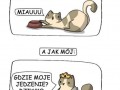 Jak mój kot prosi o jedzenie