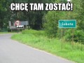 Chcę tam zostać