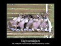 Najważniejsze