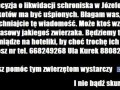 Biedne zwierzeta czekaja na twa pomoc