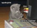 Ogranę