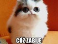 Tak zrobię
