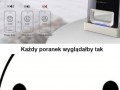 Zapierdole cie  budzik
