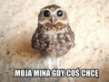 Gdy coś chcę