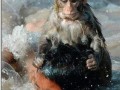 Hitman monkey