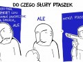 Do czego służy ptaszek