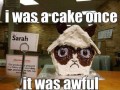 Grumpy cake