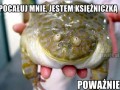 Ja królewna