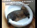 Nie znasz się