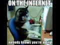 W internecie nikt nie wie że jesteś psem