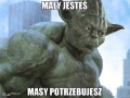 Yoda koks