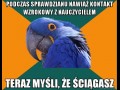Podczas sprawdzianu nawiąż kontakt wzrokowy z nauczycielem