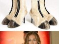 Sjp