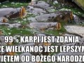 Zadowolone karpie
