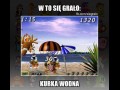 Kurka wodna