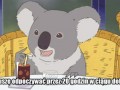Ciężkie życie misia koala