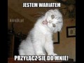 Ja wariat