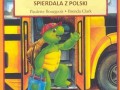 Druga irlandia