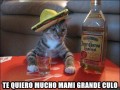 Te quiero mucho