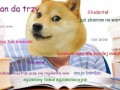 Studenteł