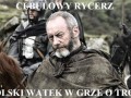 Cebulowy rycerz