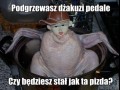Nie ma czasu na pytania włączaj gaz