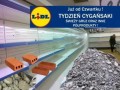 Tydzień cygański w lidlu