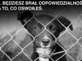 Będziesz brał odpowiedzialność