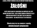 Dzisiejsza moda