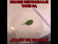 Drogie restauracje