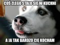 Stało się coś złego