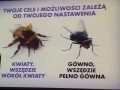Najważniejsze jest nastawienie