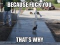 Thats why