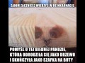 Reinkarnacja