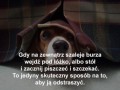 Lifehack dla psów