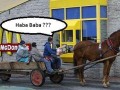 Haba baba 